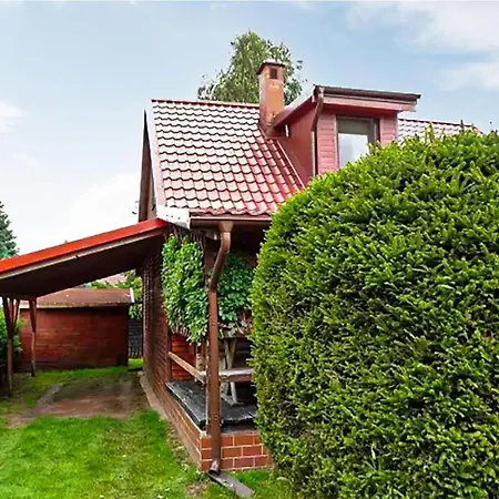 3 Bedroom Cozy In Kopalino