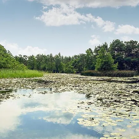 3 Bedroom Cozy In * كوبالينو