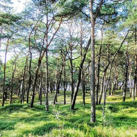 3 Bedroom Cozy In * كوبالينو