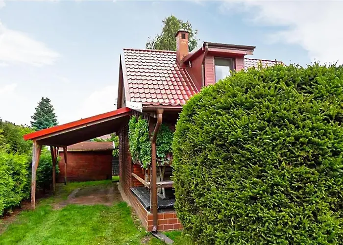 3 Bedroom Cozy In Kopalino