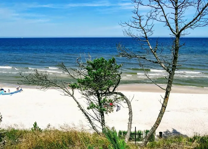 Semesterbostad 3 Bedroom Cozy In Kopalino