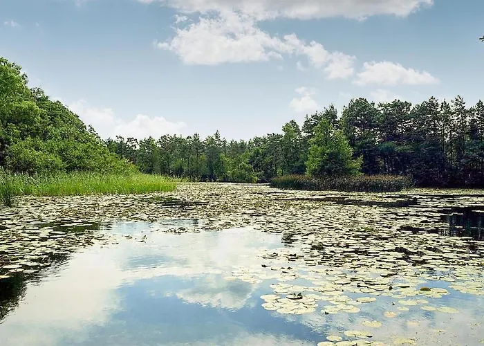 3 Bedroom Cozy In * Kopalino