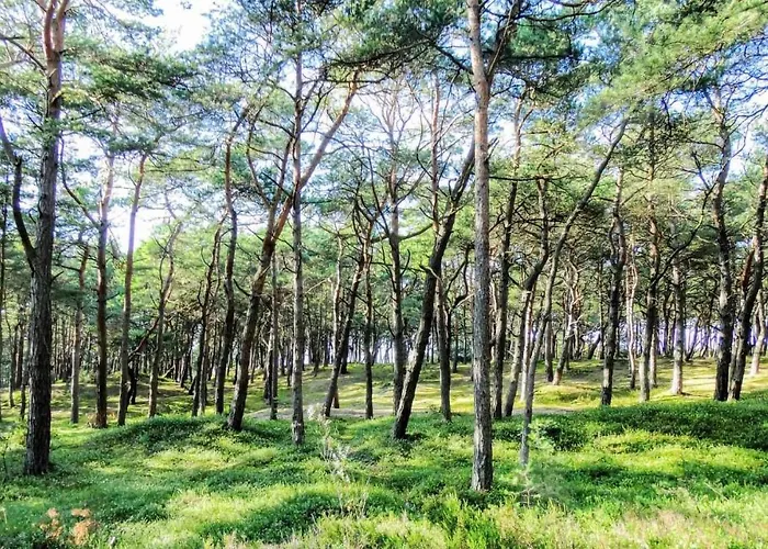 3 Bedroom Cozy In * Kopalino