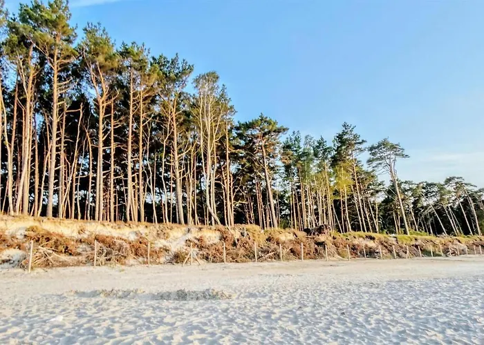 3 Bedroom Cozy In * Kopalino